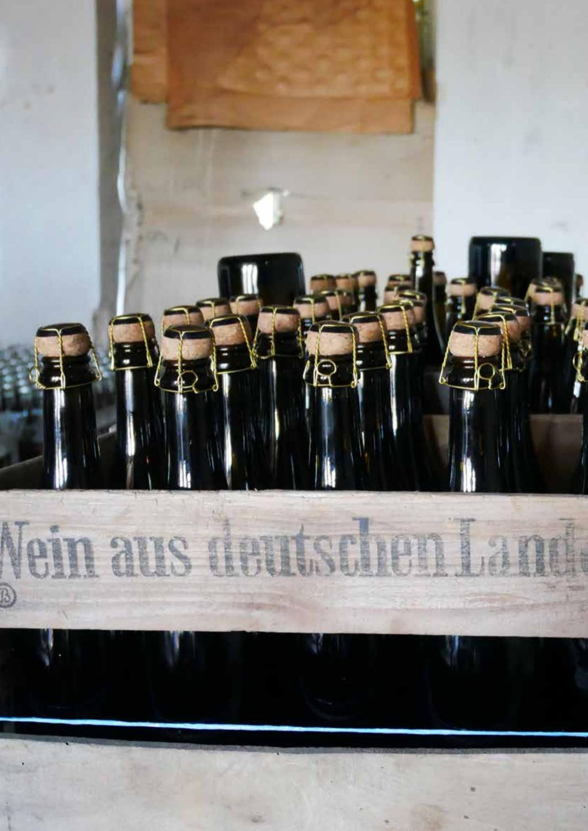Historische Flaschen der ehemaligen Sektkellerei
